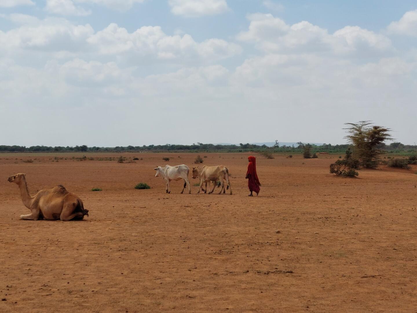 ETH_Somaliregion_©MDMGermany (28) (1)